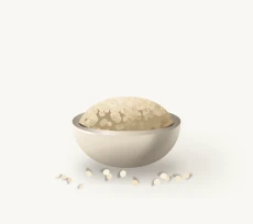 Jowar grain bowl
