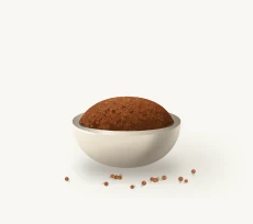 Ragi grain bowl