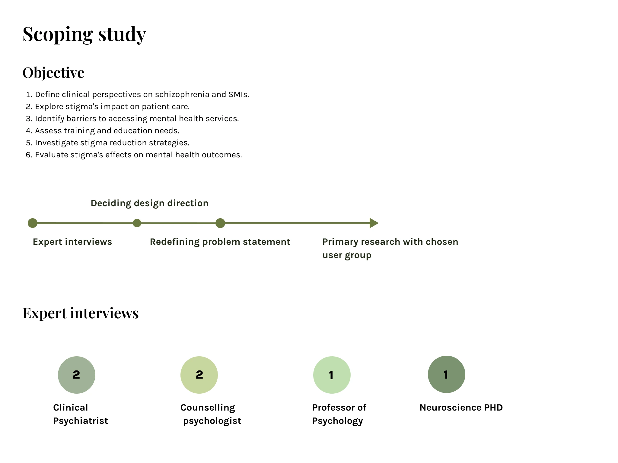 The scoping study and six expert interviews